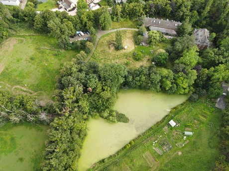 Disternich