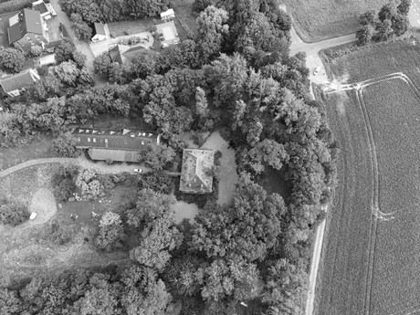 Disternich