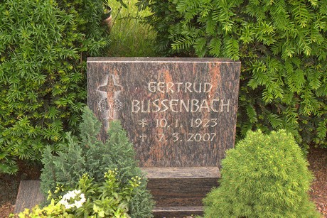 Dom-Esch