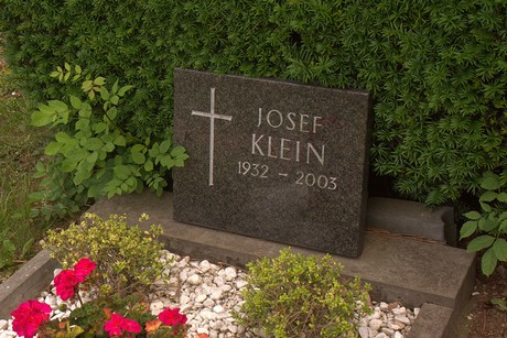Dom-Esch