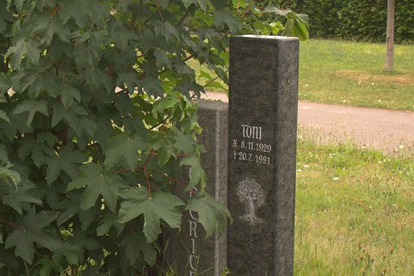 Dom-Esch