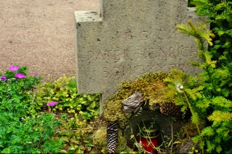 Dormagen