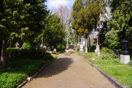 Dottendorf
