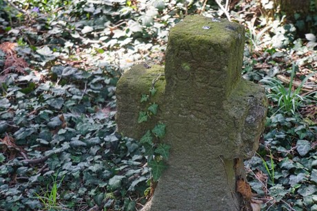 Dottendorf