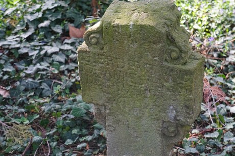 Dottendorf