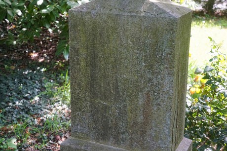Dottendorf