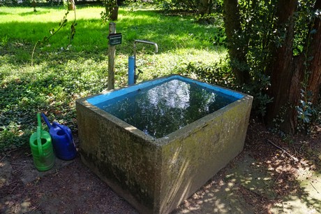 Dottendorf