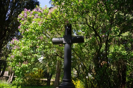 Dottendorf
