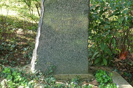 Dottendorf
