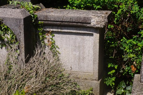 Dottendorf