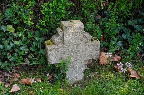 Dottendorf