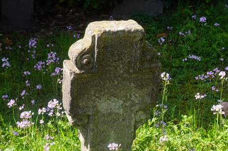 Dottendorf