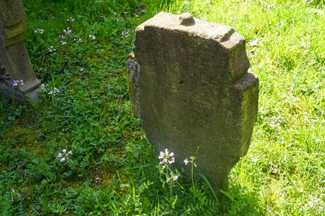 Dottendorf