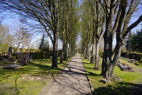 Dransdorf