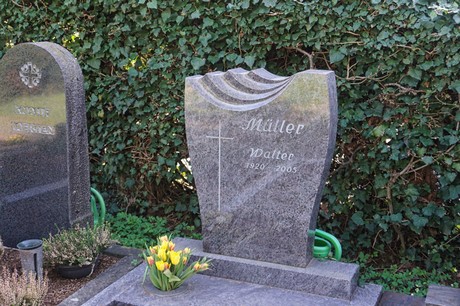 Dransdorf