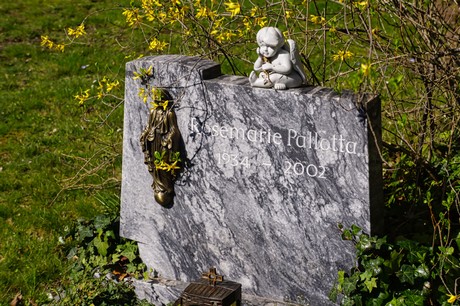 Dransdorf