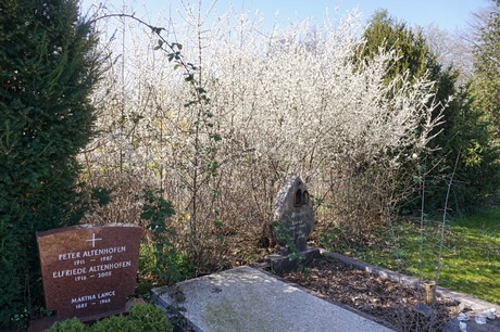 Dransdorf