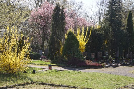 Dransdorf