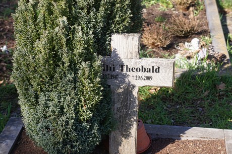 Dransdorf