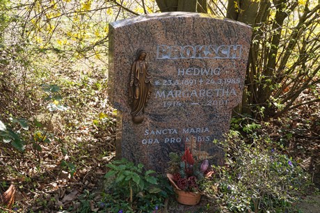 Dransdorf