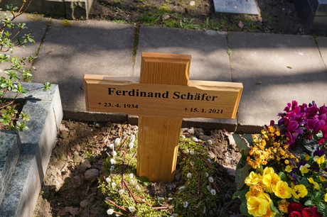 Dransdorf