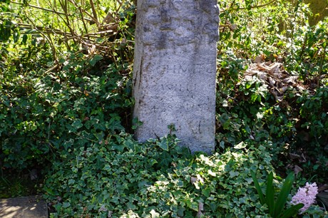Dransdorf