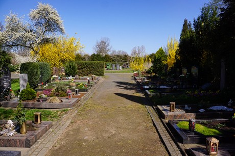 Dransdorf
