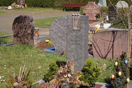 Dransdorf