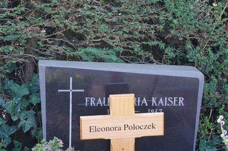 Dransdorf