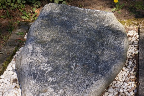Dransdorf