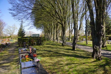 Dransdorf