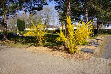 Duisdorf