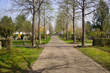 Duisdorf