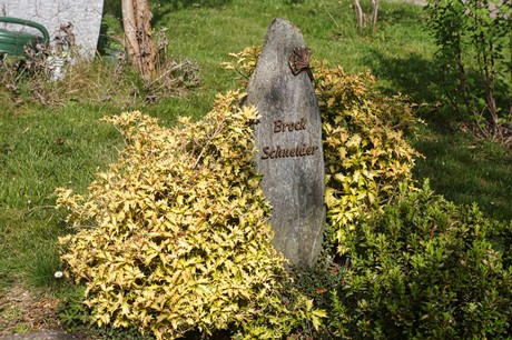 Duisdorf