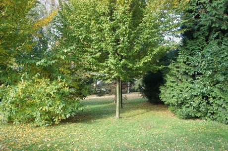 dabringhausen
