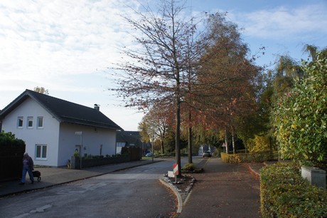 dabringhausen