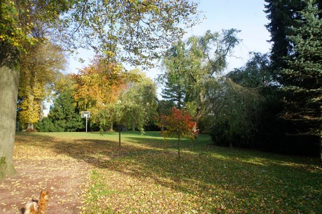 dabringhausen