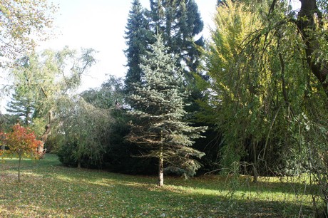dabringhausen