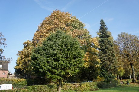 dabringhausen