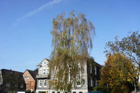 dabringhausen