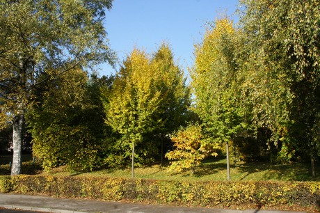 dabringhausen