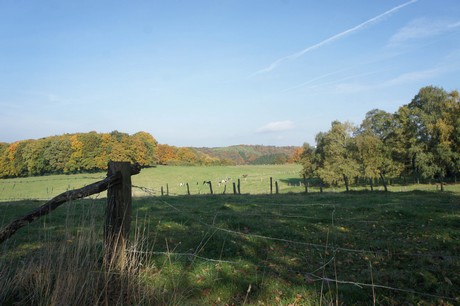 dabringhausen