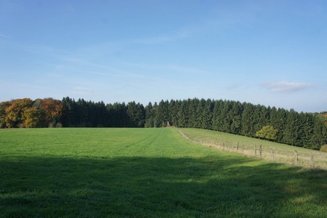 dabringhausen
