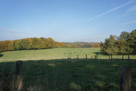 dabringhausen