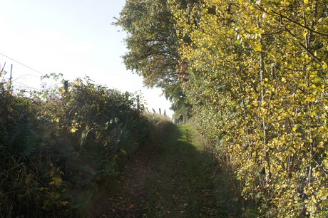 dabringhausen