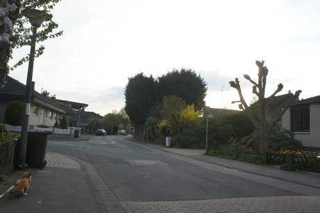 dansweiler