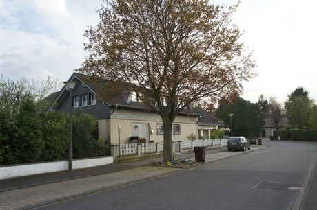 dansweiler