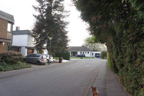 dansweiler