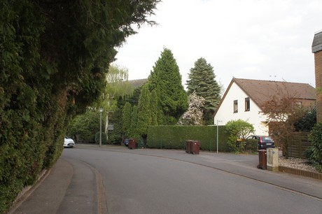 dansweiler