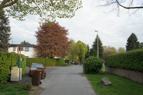 dansweiler